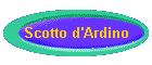 Scotto d'Ardino