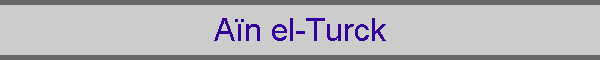 A�n el-Turck