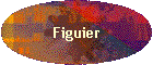 Figuier