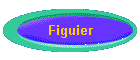 Figuier