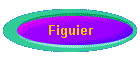 Figuier