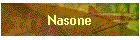 Nasone