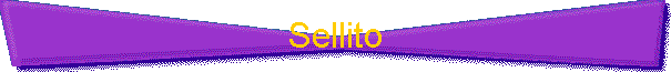 Sellito